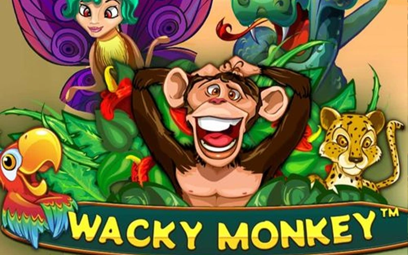 Go wild and chase big wins with Wacky Monkey Jackpot at Melbet.
